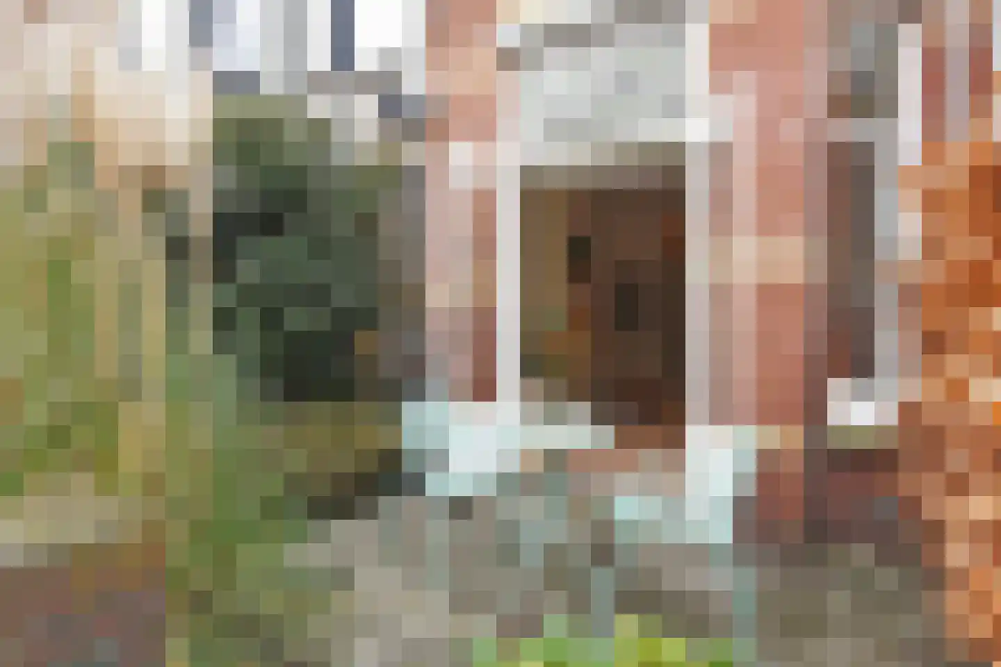 Van Hoornbeekstraat 33 Den Haag thumbnail 18