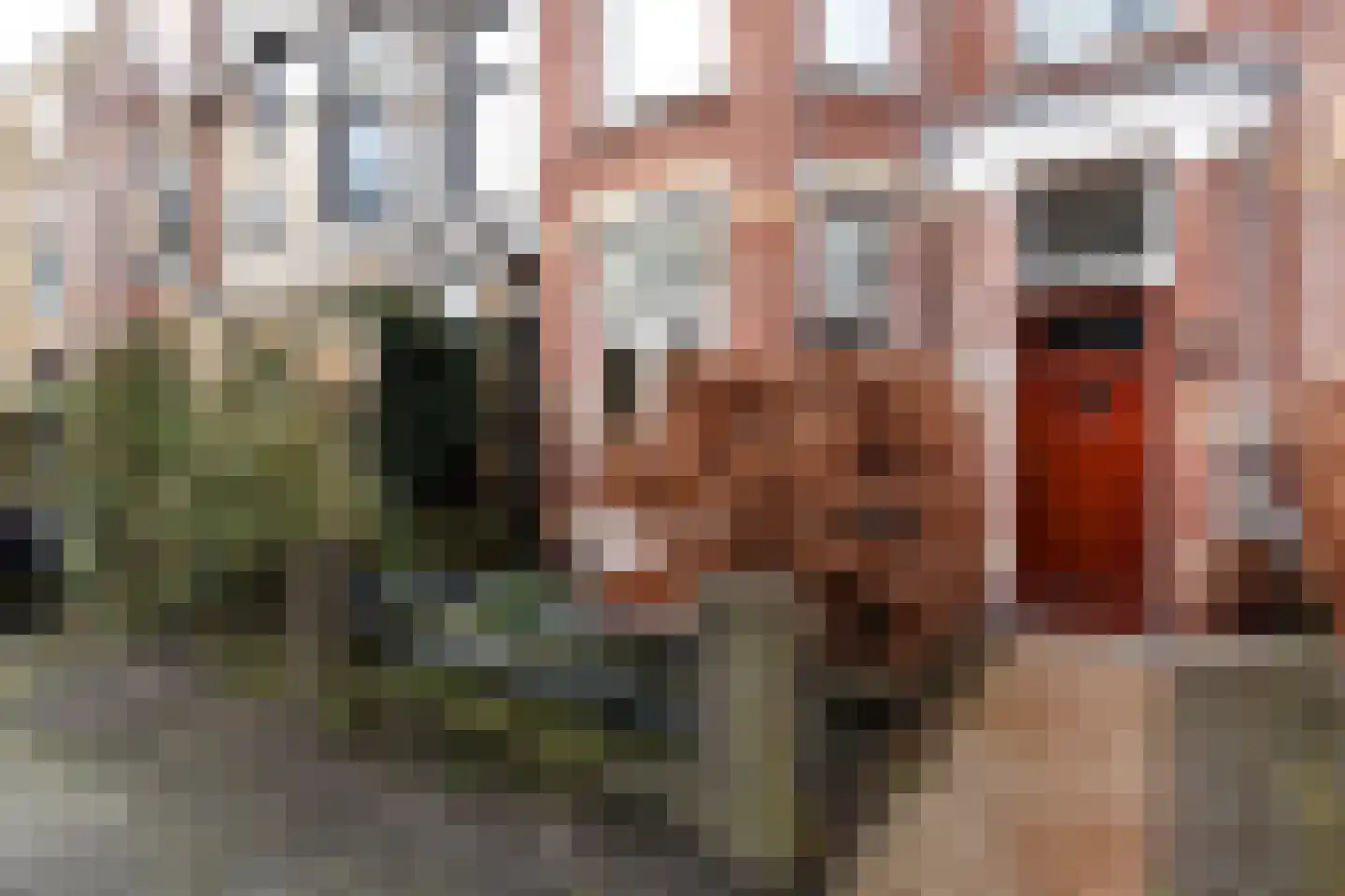 Van Hoornbeekstraat 33 Den Haag thumbnail 8