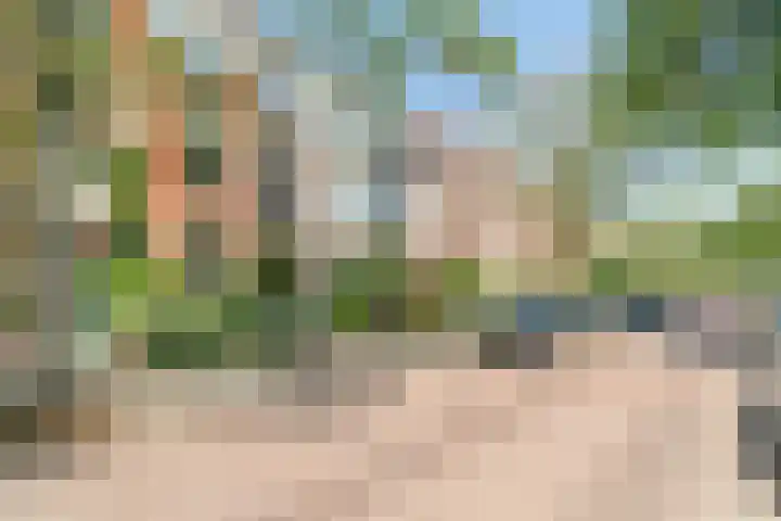 Van Hoornbeekstraat 37 Den Haag