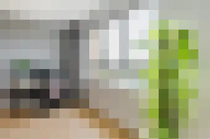 Van Hoornekade 1 B Utrecht thumbnail 10