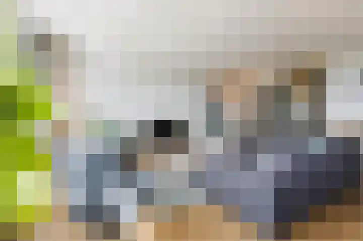 Van Hoornekade 1 B Utrecht thumbnail 13