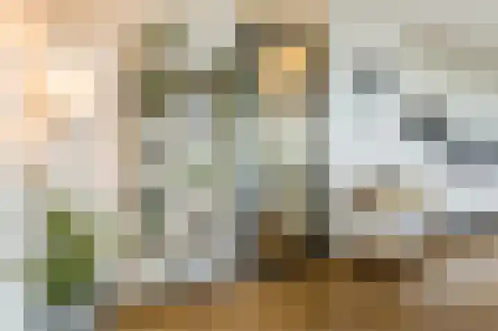 Van Hoornekade 1 B Utrecht thumbnail 14