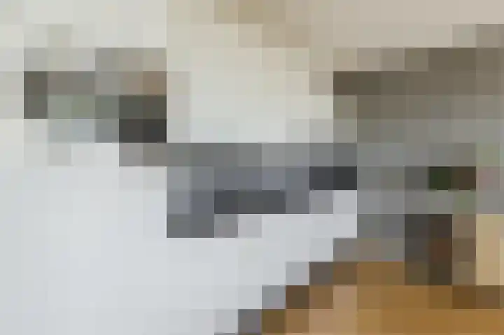 Van Hoornekade 1 B Utrecht thumbnail 17