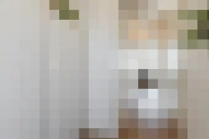Van Hoornekade 1 B Utrecht thumbnail 25