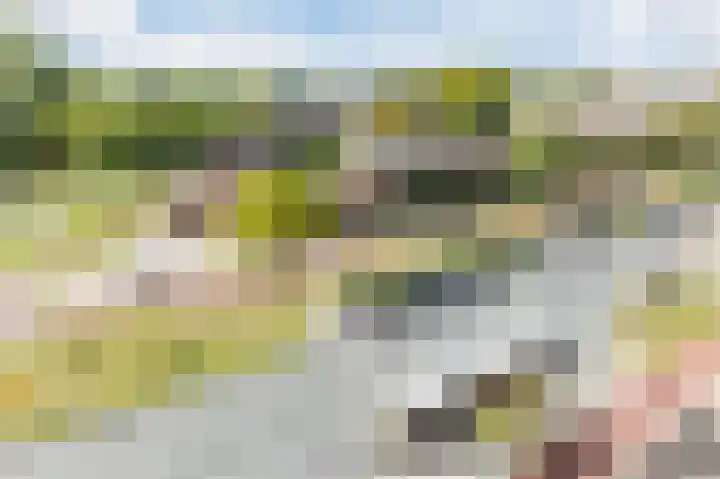 Van Hoornekade 1 B Utrecht thumbnail 29