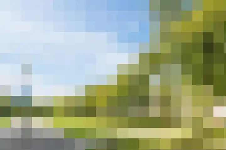Van Hoornekade 1 B Utrecht thumbnail 35