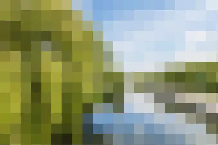 Van Hoornekade 1 B Utrecht thumbnail 36