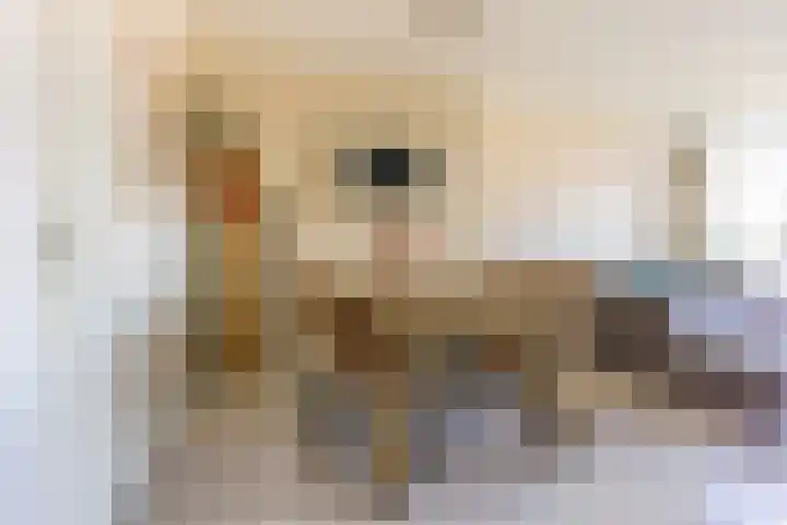 Van Hoornekade 109 A Utrecht thumbnail 8