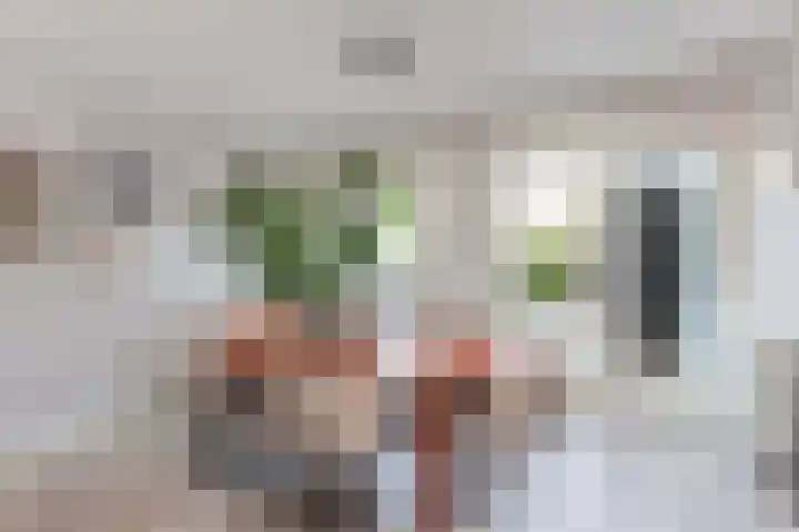 Van Hoornekade 111 Utrecht thumbnail 19