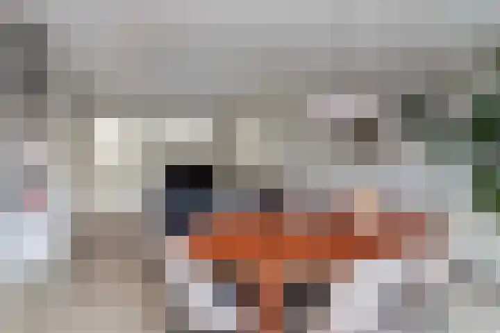 Van Hoornekade 111 Utrecht thumbnail 20