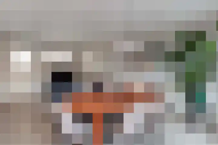 Van Hoornekade 111 Utrecht thumbnail 21