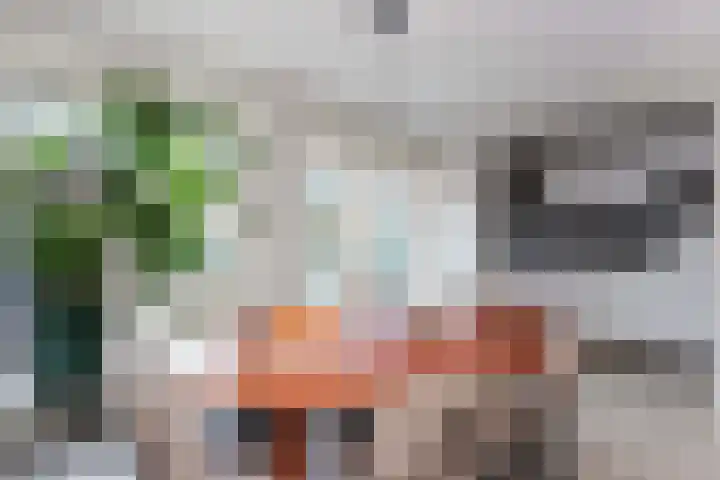 Van Hoornekade 111 Utrecht thumbnail 23