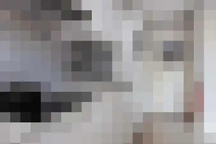 Van Hoornekade 111 Utrecht thumbnail 25
