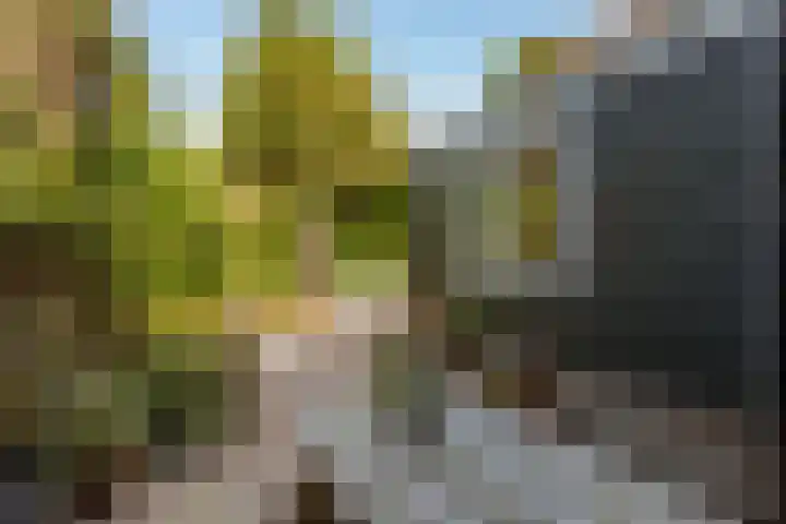 Van Hoornekade 111 Utrecht thumbnail 33