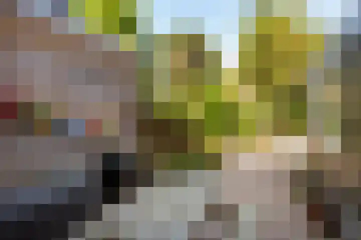 Van Hoornekade 111 Utrecht thumbnail 34