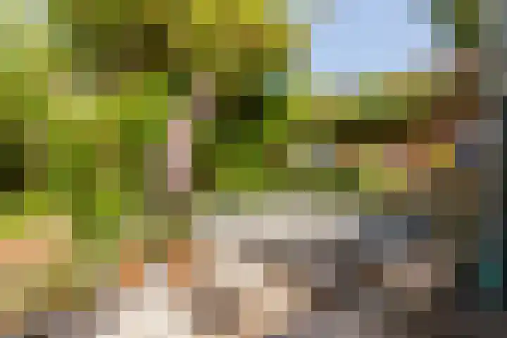 Van Hoornekade 111 Utrecht thumbnail 36