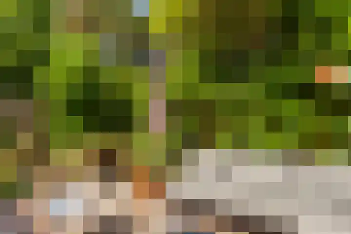 Van Hoornekade 111 Utrecht thumbnail 37