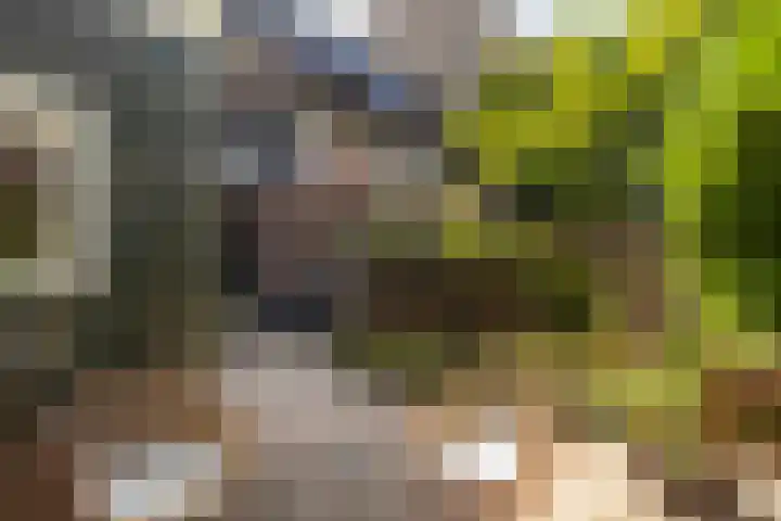 Van Hoornekade 111 Utrecht thumbnail 38