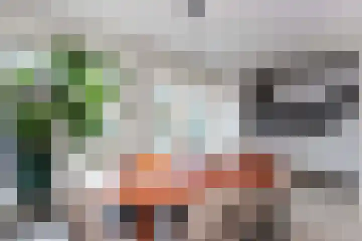 Van Hoornekade 111 Utrecht thumbnail 4