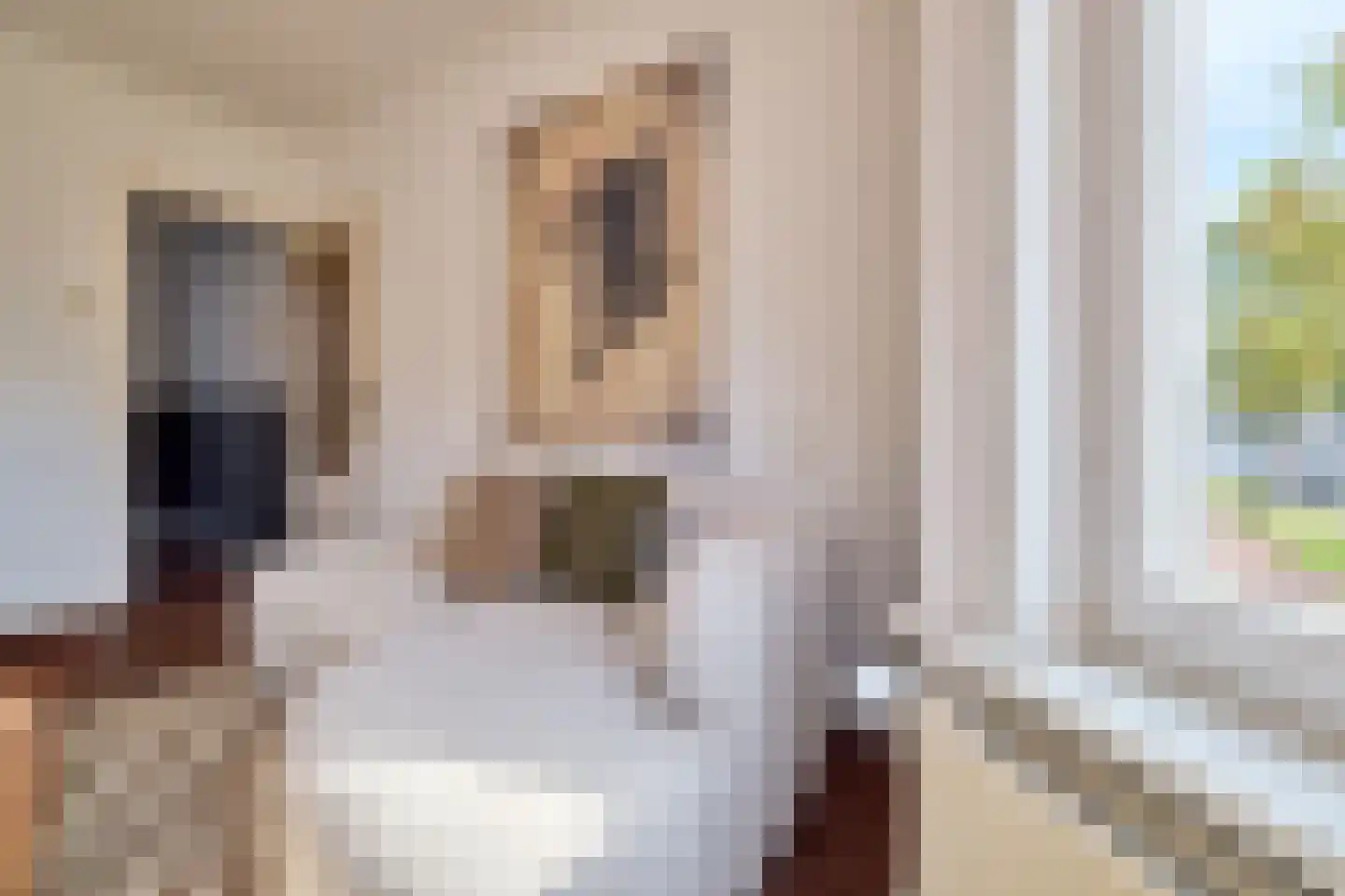 Van Hoornekade 165 Utrecht thumbnail 7
