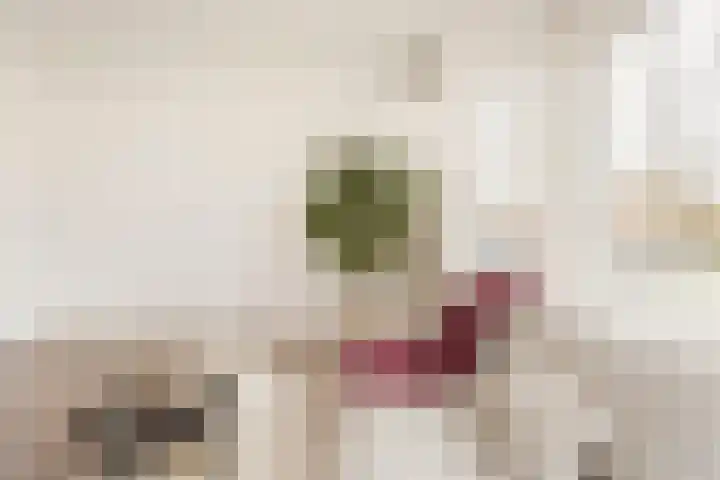 Van Hoornekade 175 Utrecht thumbnail 13