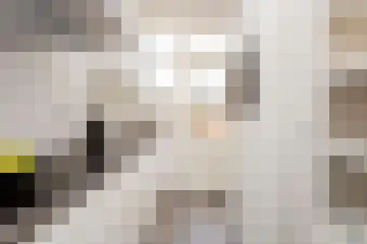 Van Hoornekade 175 Utrecht thumbnail 17