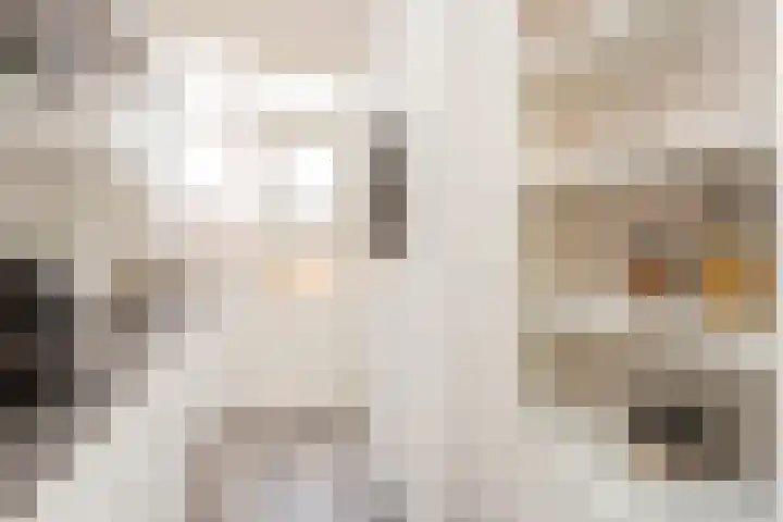 Van Hoornekade 175 Utrecht thumbnail 18