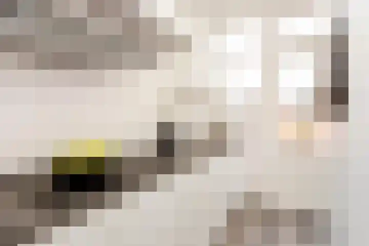 Van Hoornekade 175 Utrecht thumbnail 19