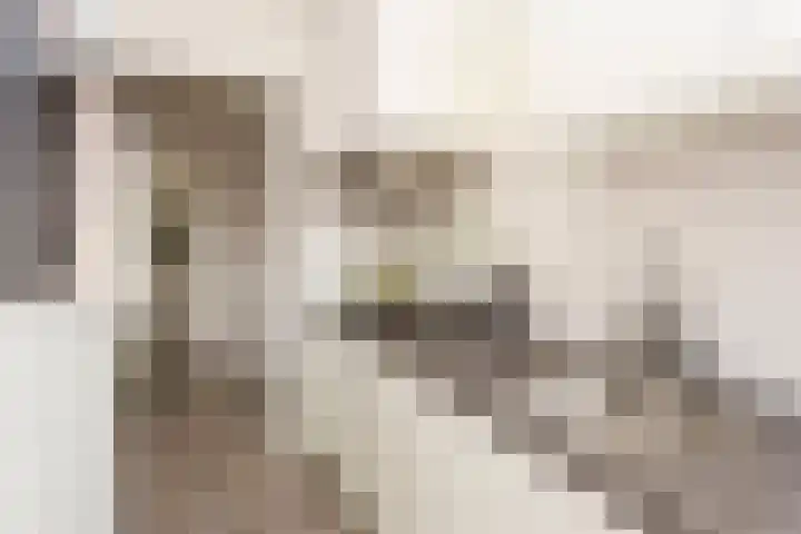 Van Hoornekade 175 Utrecht thumbnail 20