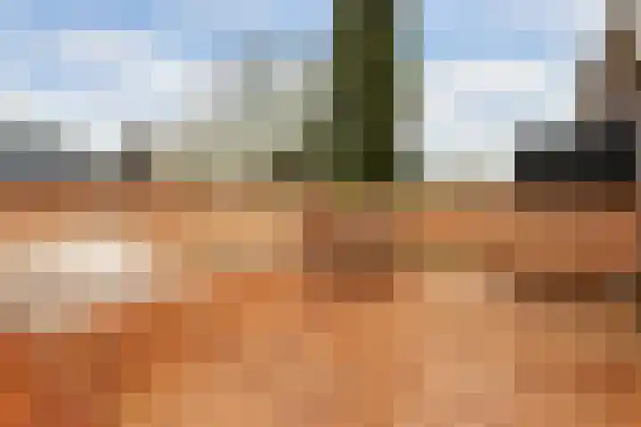 Van Hoornekade 175 Utrecht thumbnail 21