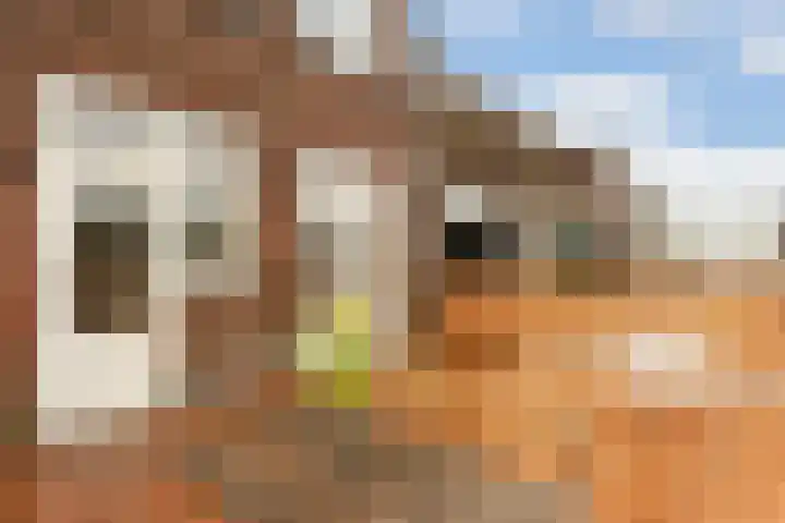 Van Hoornekade 175 Utrecht thumbnail 23