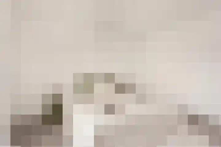 Van Hoornekade 175 Utrecht thumbnail 29