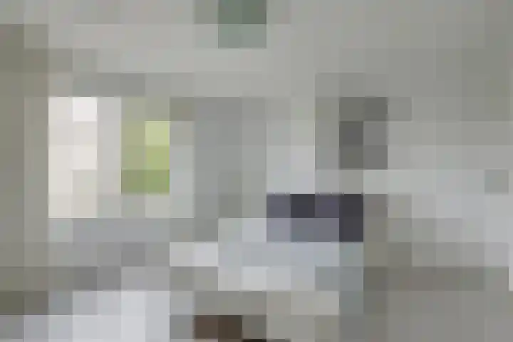 Van Hoornekade 185 Utrecht thumbnail 14