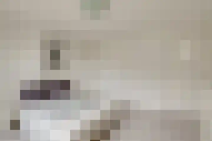 Van Hoornekade 185 Utrecht thumbnail 16