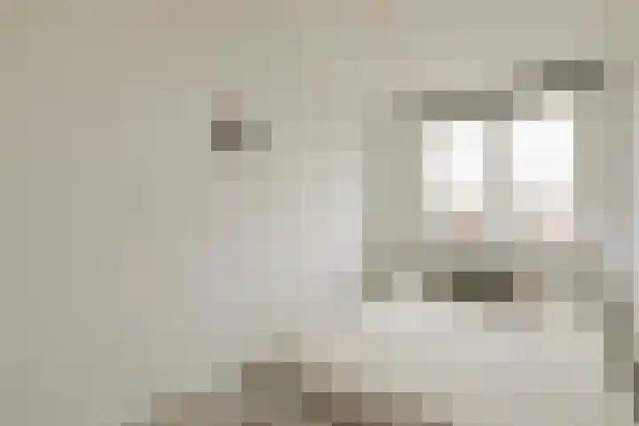 Van Hoornekade 185 Utrecht thumbnail 21