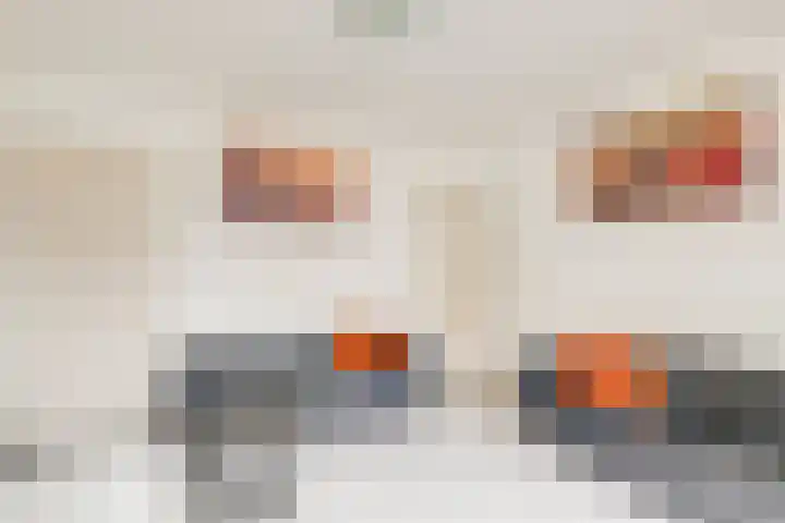 Van Hoornekade 185 Utrecht thumbnail 4