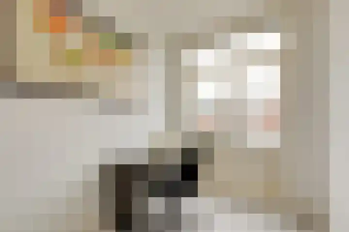 Van Hoornekade 185 Utrecht thumbnail 9