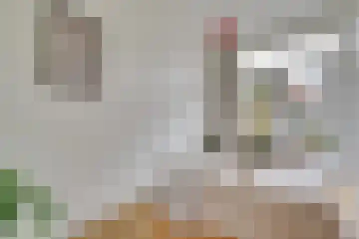 Van Hoornekade 187 Utrecht thumbnail 10