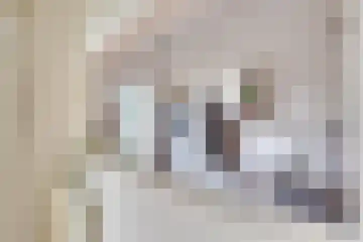 Van Hoornekade 187 Utrecht thumbnail 16