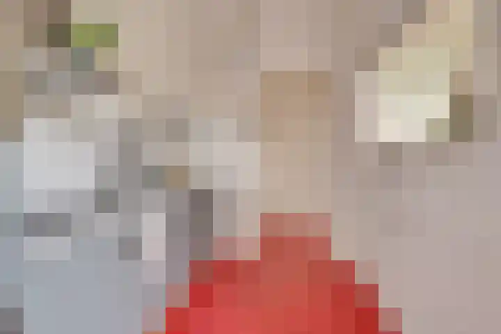 Van Hoornekade 187 Utrecht thumbnail 17