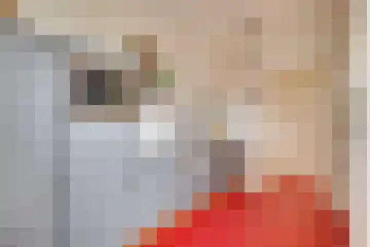 Van Hoornekade 187 Utrecht thumbnail 18