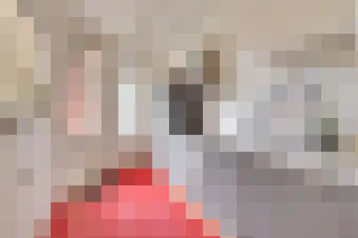 Van Hoornekade 187 Utrecht thumbnail 19