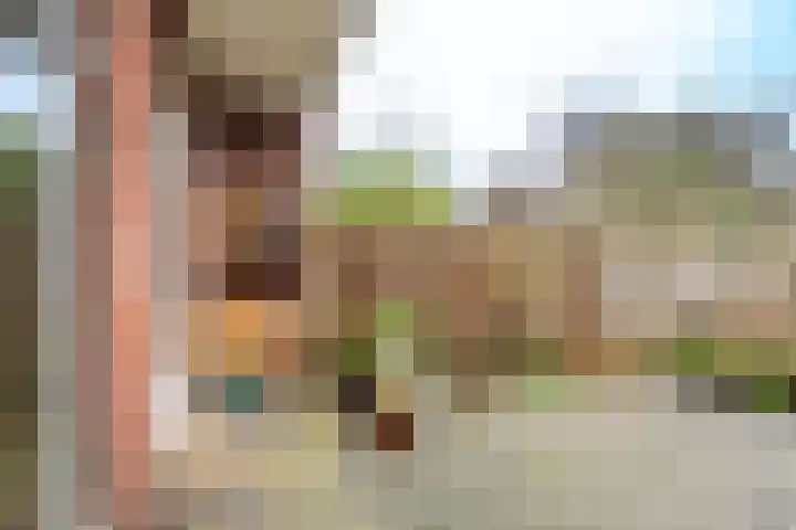 Van Hoornekade 187 Utrecht thumbnail 28