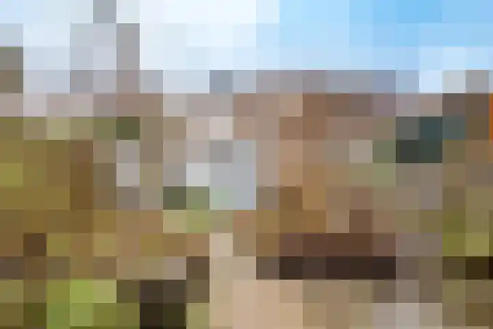 Van Hoornekade 187 Utrecht thumbnail 30