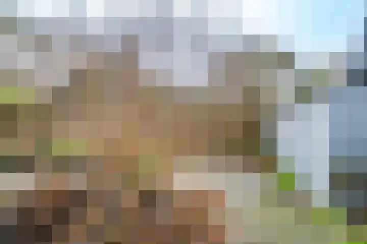 Van Hoornekade 187 Utrecht thumbnail 31