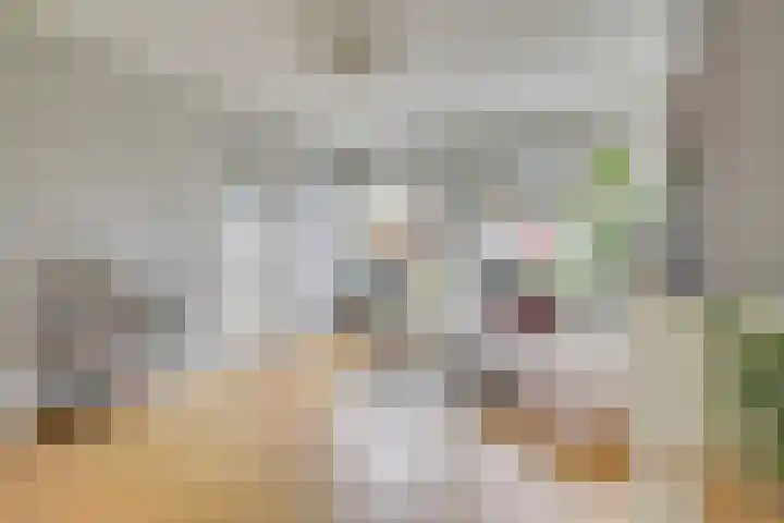 Van Hoornekade 187 Utrecht thumbnail 4
