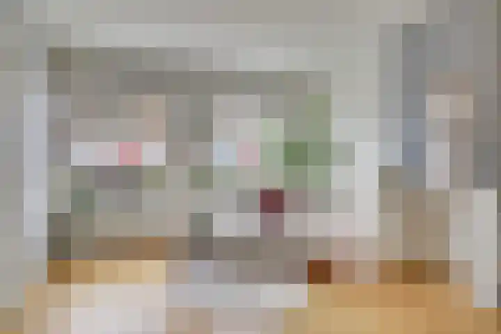 Van Hoornekade 187 Utrecht thumbnail 5