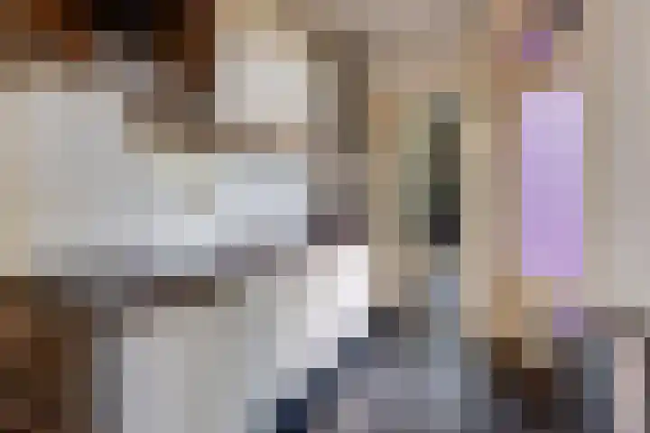 Van Hoornekade 193 Utrecht thumbnail 14