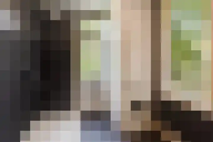 Van Hoornekade 193 Utrecht thumbnail 16