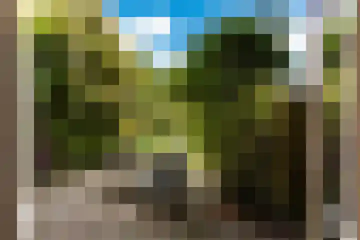 Van Hoornekade 193 Utrecht thumbnail 21